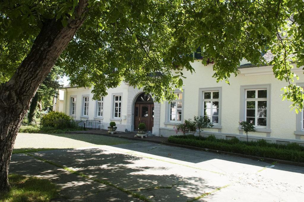 Karolingerhof - Mosel Hotel Kröv Exterior foto